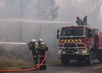 Los incendios forestales se extienden por toda Europa mientras la ola de calor se intensifica