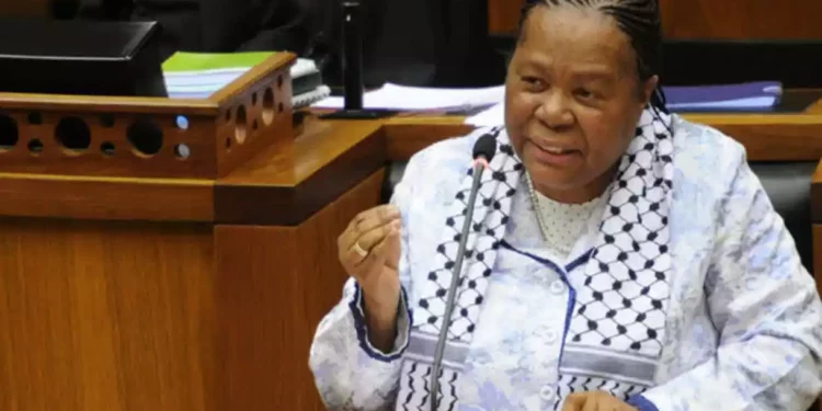 Funcionaria sudafricana pide que se declare a Israel como “Estado de apartheid”
