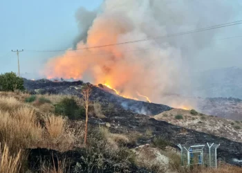 Un incendio forestal en el Golán provoca evacuaciones