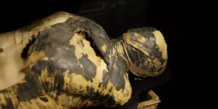 Momia egipcia de 2.000 años de antigüedad probablemente tuvo cáncer
