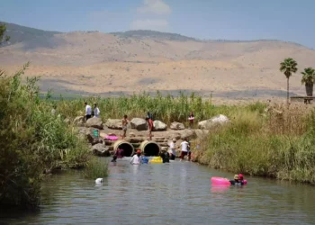 Un niño de 5 años muere por las lesiones sufridas en un incidente de ahogamiento en el norte de Israel