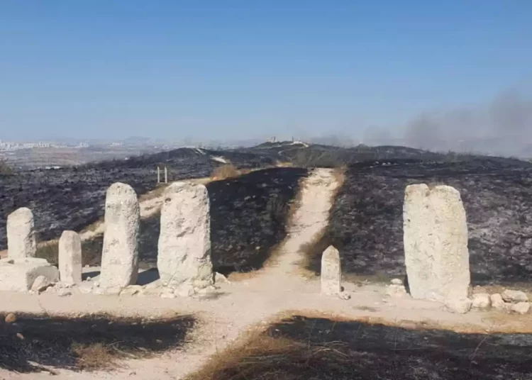 Agricultor incendia accidentalmente el antiguo parque israelí de Tel Gezer