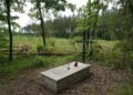 Hallan en Polonia una fosa común con restos de 8.000 víctimas del nazismo