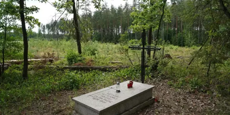 Hallan en Polonia una fosa común con restos de 8.000 víctimas del nazismo