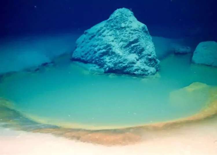 El hallazgo israelí de salmuera en aguas profundas podría revelar cómo se formaron los océanos