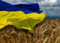 Ucrania, Rusia y Turquía están cerca de un acuerdo sobre cereales