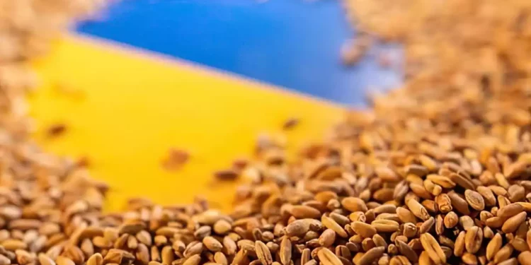 Turquía dice que el acuerdo de exportación de grano de Ucrania se firmará la próxima semana