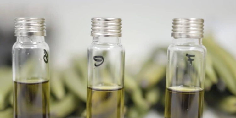 Empresa tecnológica israelí crea los sabores de vainilla más fuertes del mundo