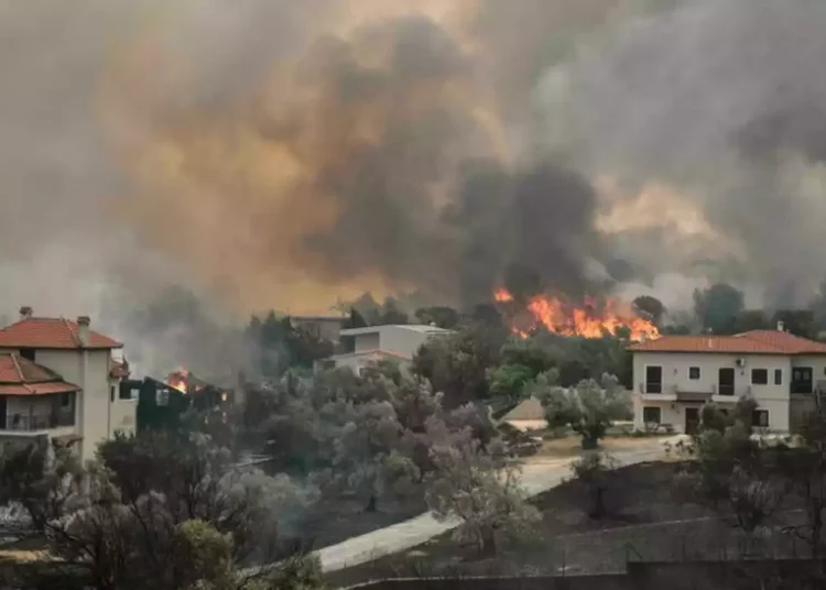 Grecia lucha contra los incendios forestales en medio de la ola de calor