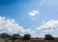 Filipinas recibe de Israel dos puentes de lanzamiento de vehículos blindados
