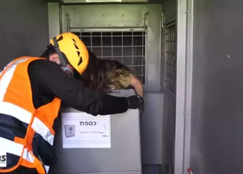 Las FDI ponen a prueba nuevo simulador móvil para operaciones de búsqueda y rescate