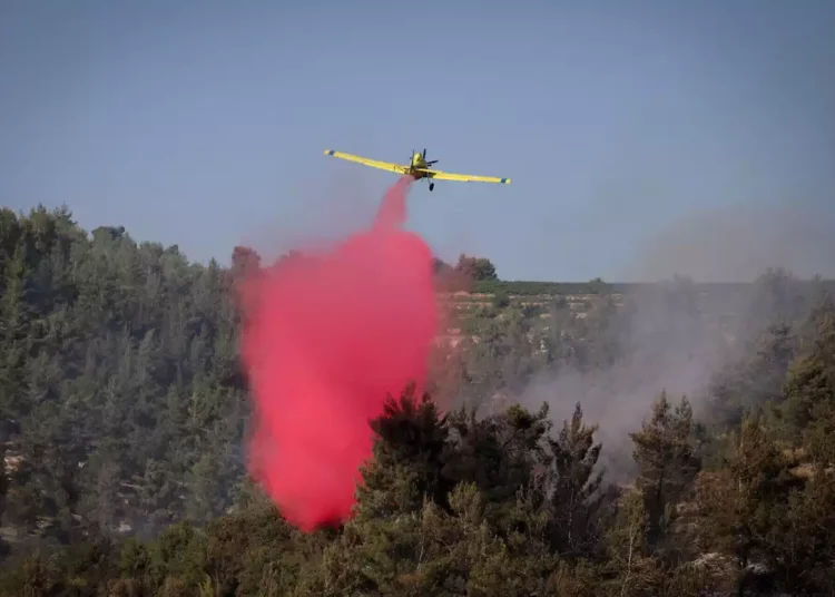 Los bomberos luchan contra un incendio en el bosque de Ben Shemen