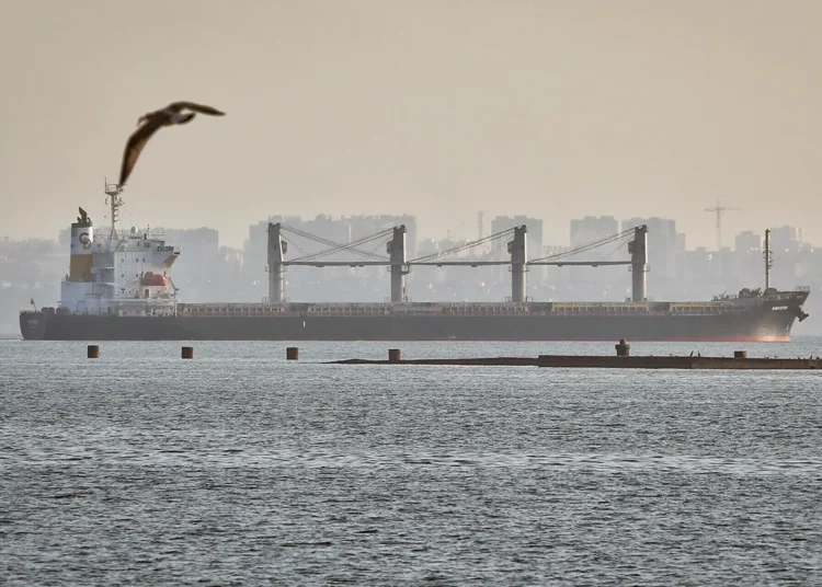 Otros 3 cargamentos de grano salen de los puertos ucranianos