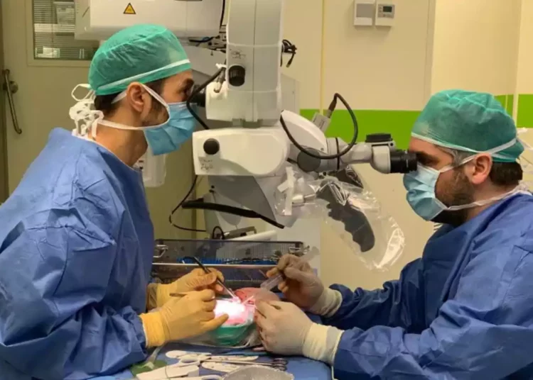 Centro medicó israelí rompe récord en trasplantes de hígado y riñón