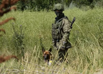 Rusia ofrece a los presos la libertad si luchan contra Ucrania