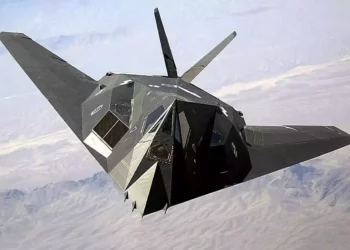 Por qué el F-117 Nighthawk tuvo una vida útil relativamente corta