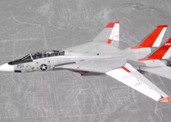 Cómo un piloto de F-14 evitó el desastre: Aterrizaje con las alas atascadas