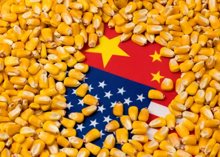 Amenaza de seguridad: El interés de China en la agricultura de EE.UU.