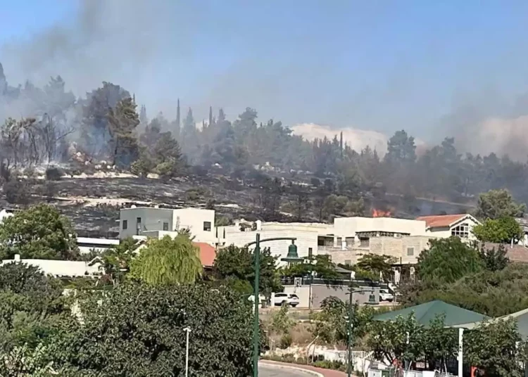 Incendio forestal en Jerusalén provoca la evacuación de viviendas