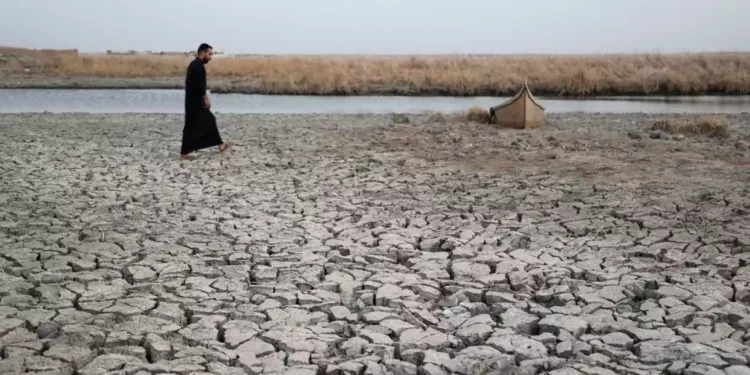 El “Jardín del Edén” iraquí luce ahora como un desierto debido a la sequía