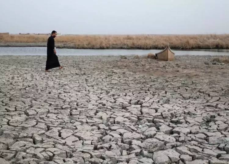 El “Jardín del Edén” iraquí luce ahora como un desierto debido a la sequía