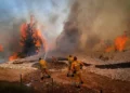 Así es como Israel puede luchar contra los incendios forestales