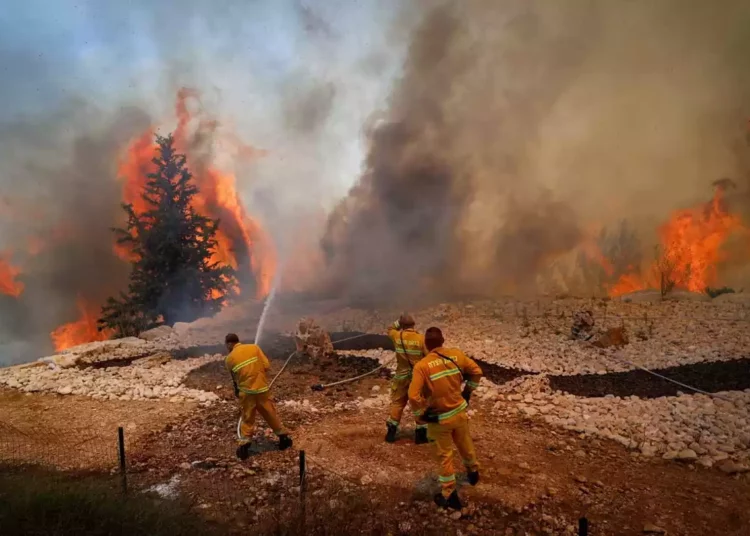 Así es como Israel puede luchar contra los incendios forestales