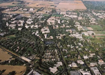 Policía del campus investiga las pancartas antisemitas en UC Davis