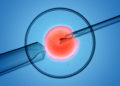 Imagen ilustrativa: un solo espermatozoide se inyecta directamente en un óvulo como parte de la FIV (Lars Neumann a través de iStock by Getty Images)