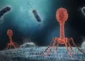 Científicos israelíes desarrollan un virus que elimina bacterias que dañan el intestino