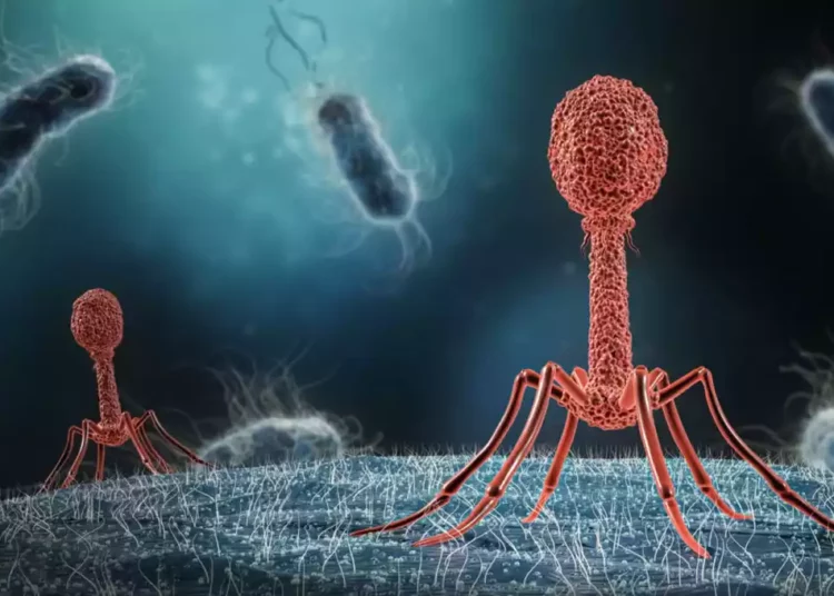 Científicos israelíes desarrollan un virus que elimina bacterias que dañan el intestino