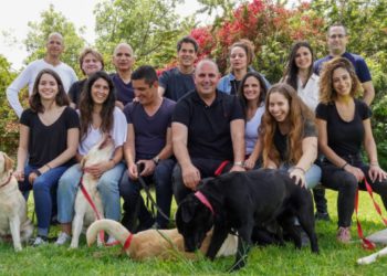 Una nueva startup israelí entrena a los labradores para detectar el cáncer