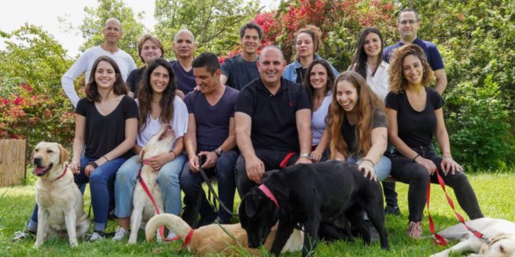 Una nueva startup israelí entrena a los labradores para detectar el cáncer