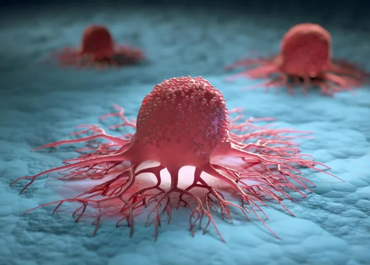 Los tumores cancerosos pueden contener múltiples especies de hongos