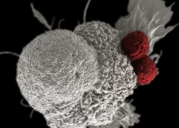 ¿Se puede diagnosticar el cáncer haciendo una biopsia líquida?