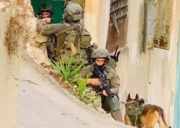 Las FDI matan a islamista palestino mientras buscan a tirador fugitivo