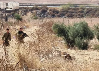 Islamista palestino intentó arrebatar el arma de un soldado