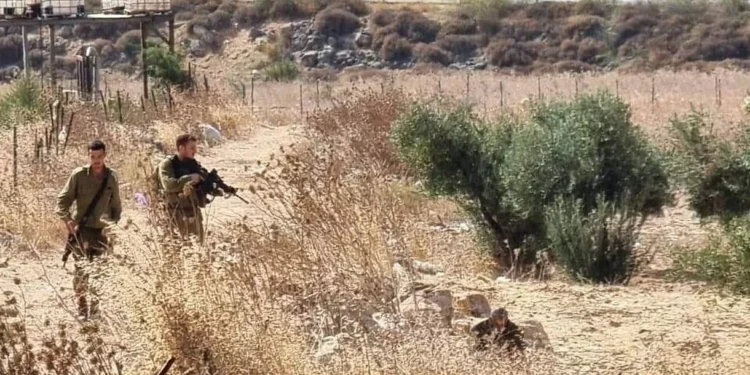 Islamista palestino intentó arrebatar el arma de un soldado