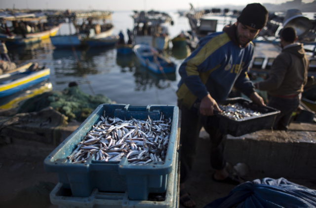 Israel detiene a 4 pescadores de Gaza sospechosos de contrabando
