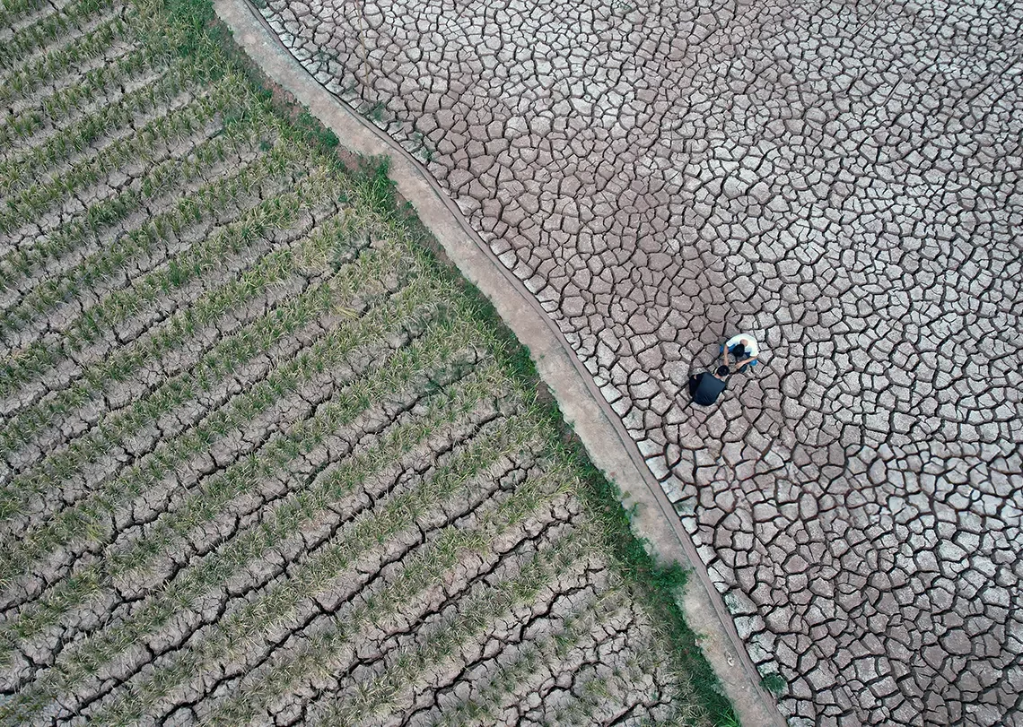 Por qué la sequía en Sichuan tiene repercusiones globales