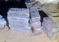 Las FDI incautan drogas por valor de 3,5 millones de NIS en la frontera egipcia