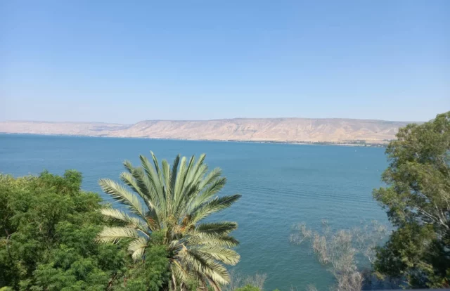 Antiguos mosaicos islámicos descubiertos en Israel