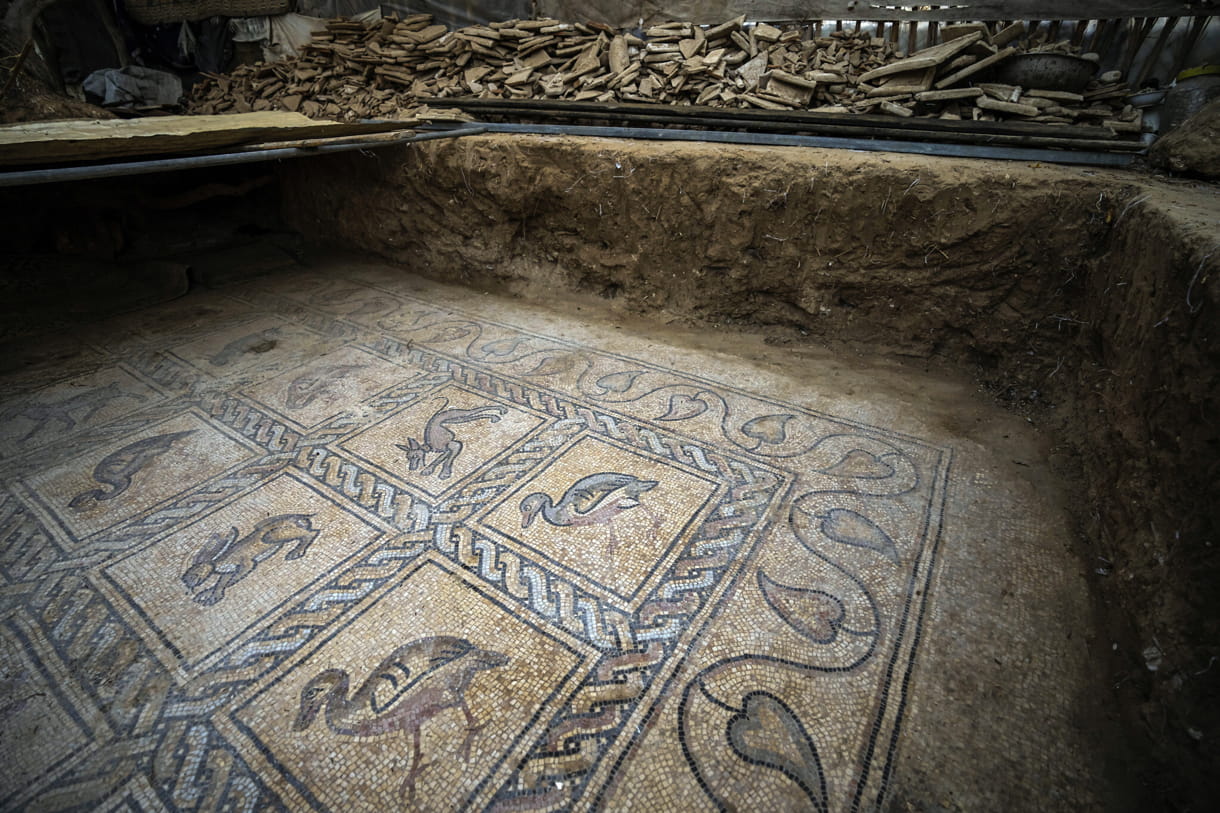 El mayor tesoro arqueológico de Gaza: Hallan mosaico de la época bizantina