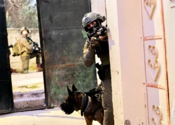 Las FDI abaten a 4 terroristas que “planeaban islamistas significativos”