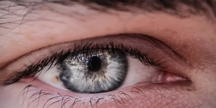 Investigadores israelíes descubren cómo diagnosticar el Alzheimer a través de la retina