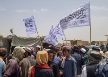 Talibanes y fuerzas paquistaníes se enfrentan a lo largo de la frontera: se registran víctimas