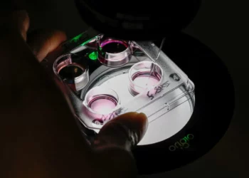 Tratamiento israelí para las arrugas podría ayudar a la fecundación in vitro