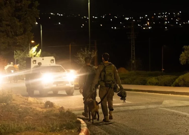 Terroristas islámicos disparan contra un vehículo israelí en Judea y Samaria