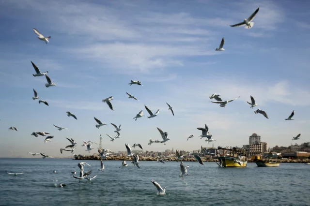 Egipto impulsará la producción de gas frente a las costas de Gaza