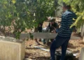 Pequeño dron de las FDI se estrella en Hebrón y es recuperado por las tropas